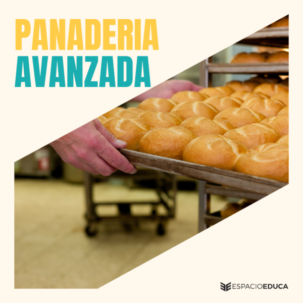 PANADERIA AVANZADA