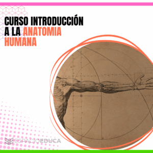 CURSO INTRODUCCIÓN A LA ANATOMIA HUMANA