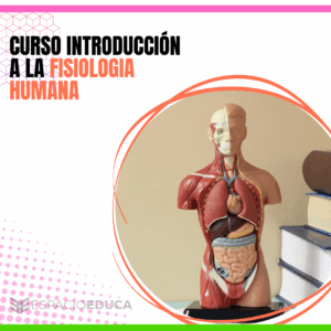 CURSO INTRODUCCIÓN A LA FISIOLOGIA HUMANA