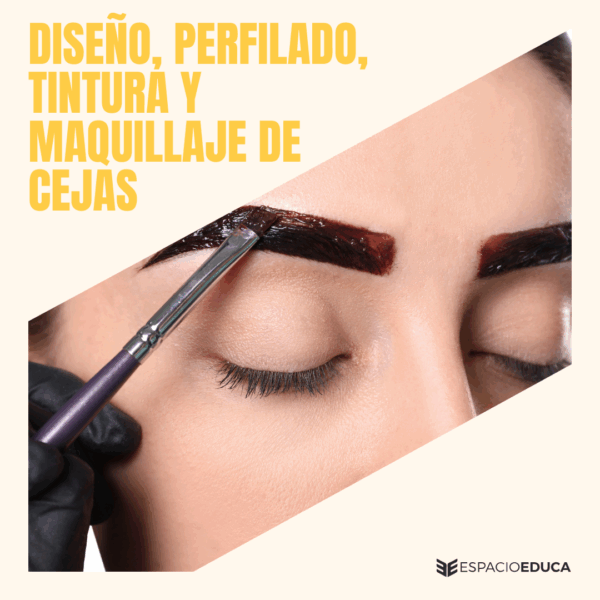 TALLER DE DISEÑO, PERFILADO, TINTURA Y MAQ DE CEJAS