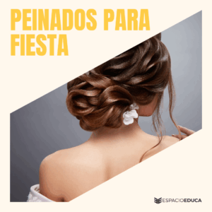 PEINADOS PARA FIESTAS